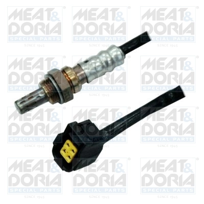 Oxygen Sensor